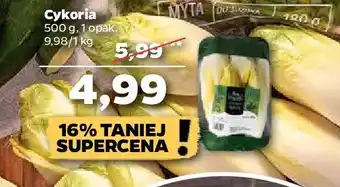 Netto Cykoria 1 SZT 500 G oferta