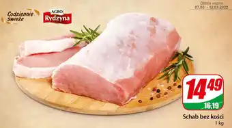 Dino Schab bez kości 1kg oferta