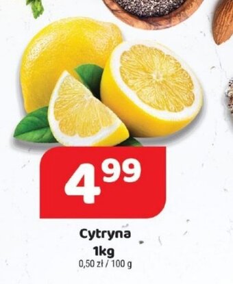 Delfin Cytryna 1kg oferta