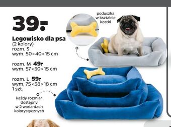 Netto Legowisko dla psa oferta