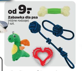 Netto Zabawka dla psa oferta