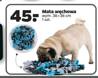 Netto Mata węchowa oferta