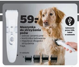 Maszynka do strzyżenia psów