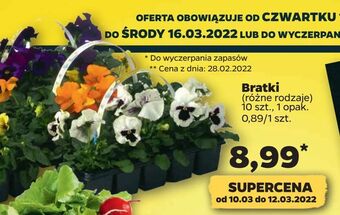 Netto Bratki oferta