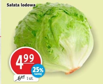 Prim Market Sałata lodowa 1szt. oferta