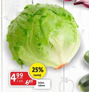 Prim Market Sałata lodowa 1szt. oferta