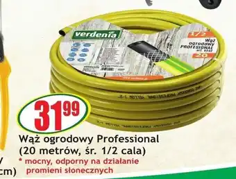 Sezamek Wąż ogrodowy Professional 20m oferta