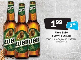 Delfin Piwo Żubr 500ml oferta