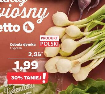 Netto Cebula dymka oferta
