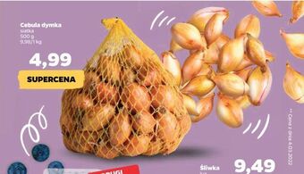 Netto Cebula dymka oferta