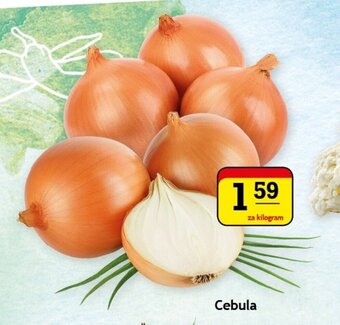 Gram Market Cebula 1kg oferta