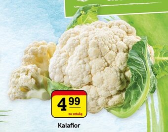 Gram Market Kalafior 1szt. oferta