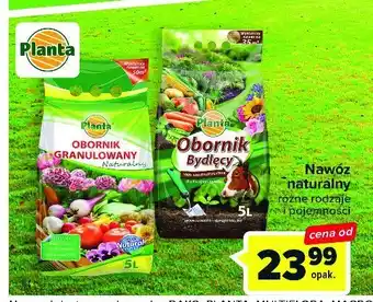 Carrefour Obornik granulowany naturalny 1 SZT 5 L oferta