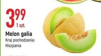 E.Leclerc Melon galia 1szt. oferta