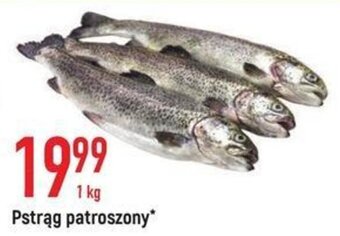 E.Leclerc Pstrąg patroszony 1kg oferta