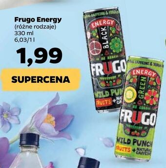Netto Frugo Energy oferta