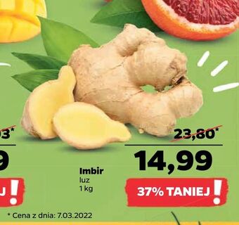 Netto Imbir oferta