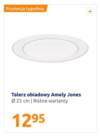 Action Talerz obiadowy Amely Jones oferta