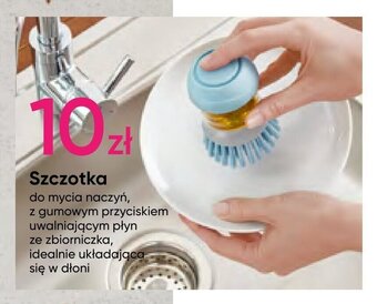 Pepco Szczotka oferta