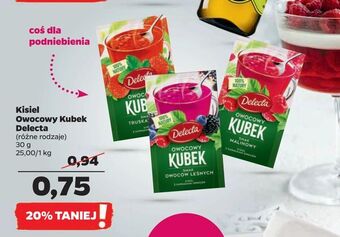Netto Kisiel Owocowy Kubek Delecta oferta
