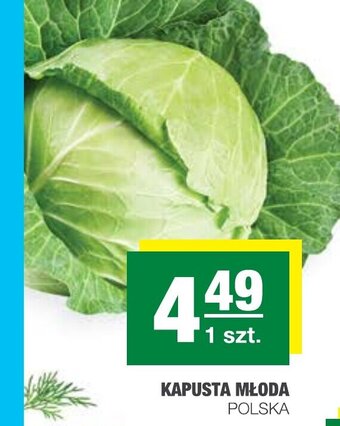 Spar Kapusta młoda 1szt. oferta