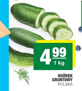 Spar Ogórek gruntowy 1kg oferta