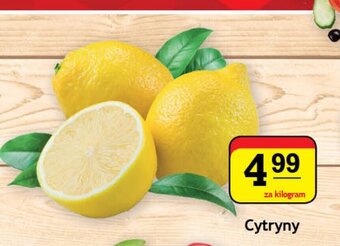 Gram Market Cytryny 1kg oferta