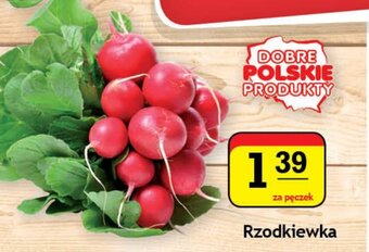 Gram Market Rzodkiewka pęczek oferta