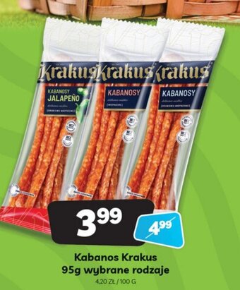 Delfin Kabanosy Krakus 95g oferta