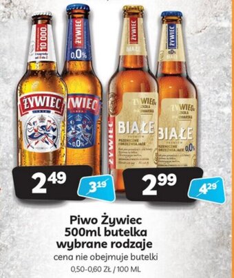 Delfin Piwo Żywiec 500ml oferta