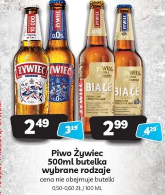 Delfin Piwo Żywiec 500ml oferta