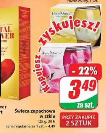 Dino Świeca pink lily 1 SZT oferta