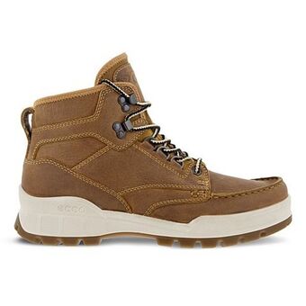 Ecco track 25 m