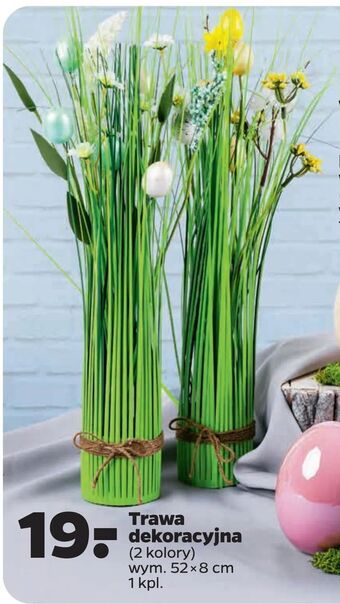 Netto Trawa dekoracyjna oferta