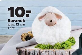 Netto Baranek oferta