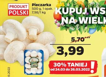 Netto Pieczarka oferta