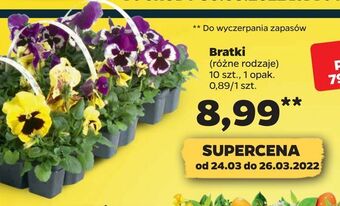 Netto Bratki oferta