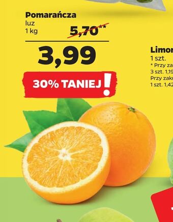 Netto Pomarańcza oferta