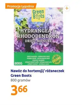 Action Nawóz do hortensji/różaneczek 800g oferta