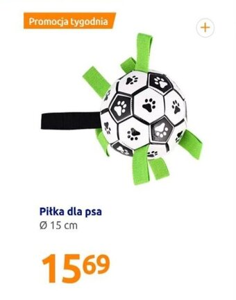 Action Piłka dla psa oferta