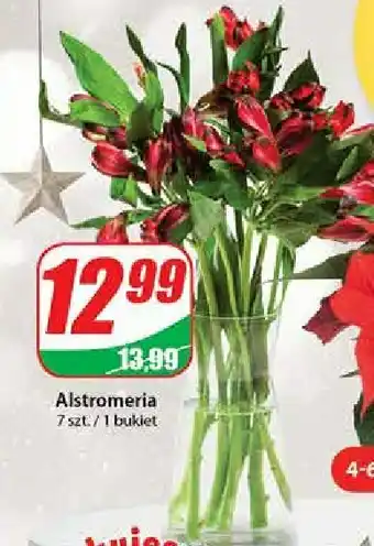 Dino Alstromeria 1 OPAK 7 SZT oferta