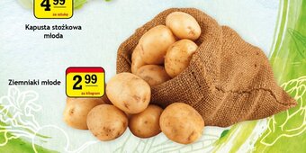 Gram Market Ziemniaki młode 1kg oferta
