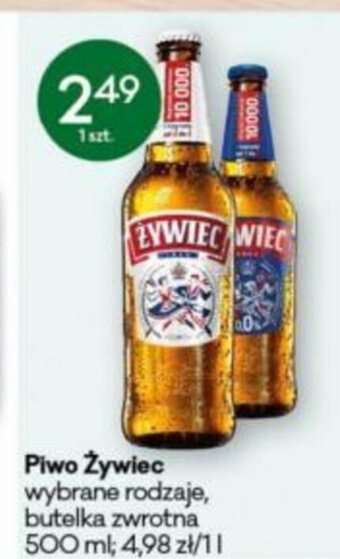 Groszek Piwo Żywiec 500ml oferta