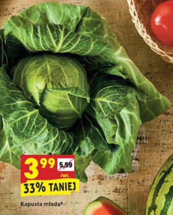 Biedronka Kapusta młoda 1szt. oferta