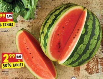 Biedronka Arbuz 1kg oferta