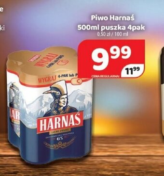 Delfin Piwo Harnaś 4x500ml oferta