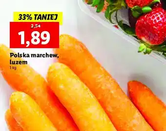 Lidl Marchew polska 1 KG oferta