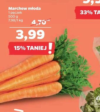 Netto Marchew młoda oferta