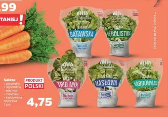 Netto Sałata oferta