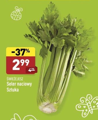 ALDI Seler naciowy oferta